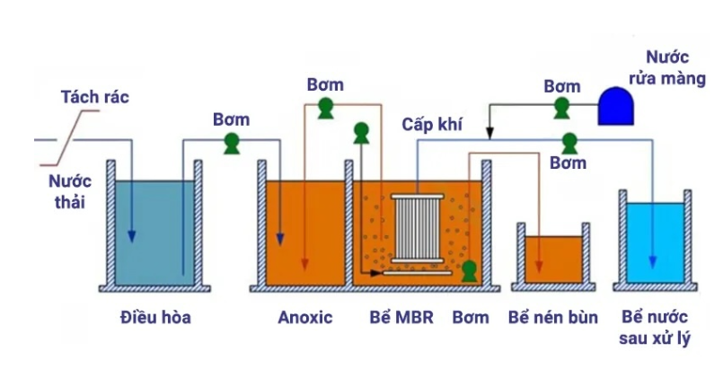 Môi trường enco