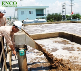 Xử lý chất thải sinh học