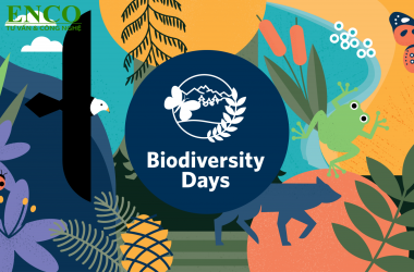 Việt Nam phát hiện 158 loài mới thuộc Tiểu vùng sông Mekong mở rộng