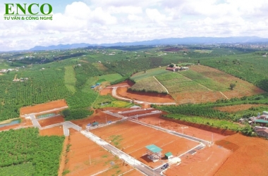 Chuyển đổi từ đất rừng sản xuất sang đất trồng cây lâu năm?