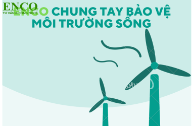 Phát thải ròng bằng 0: Trồng cây mới chỉ là một phần giải pháp