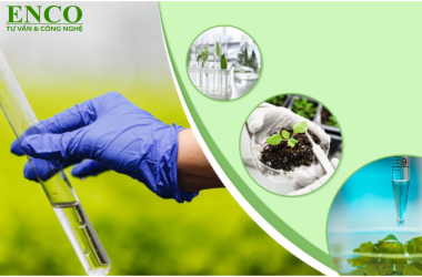 Thông tư quy định về quan trắc môi trường – Nghĩa vụ doanh nghiệp cần nắm rõ