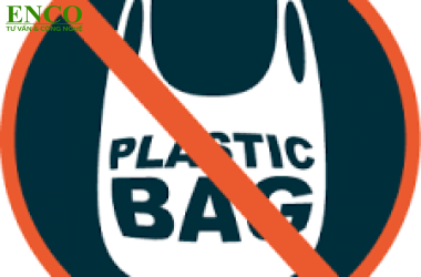 Bớt túi nylon, giảm rác thải nhựa: Hành động nhỏ cho tương lai xanh